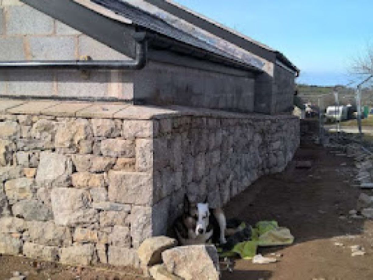 completed lime stone wall repointing and wall design with a dog sitting in front of the wall